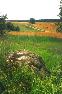 Wigierski Park Narodowy